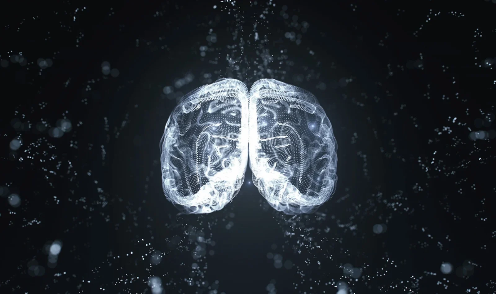 AI-Data-Vibes-In-Modern-Web-Design